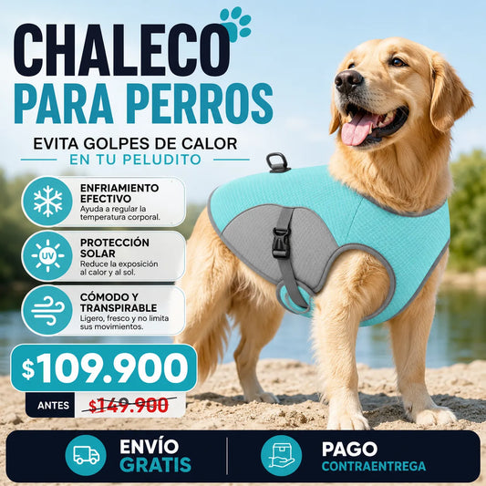 🦺CHALECO REFRIGERANTE PARA PERROS🐕‍🦺